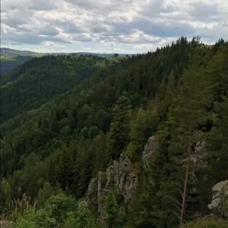 Cabana-izabela-marisel Cluj-Napoca